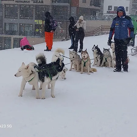 Aпартамент за гости Dream Grand Monastery-пампорово