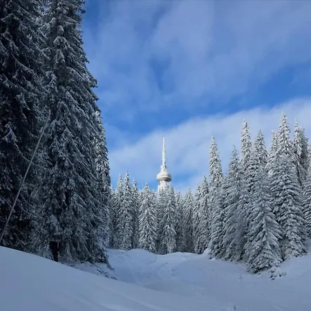 Aпартамент за гости Dream Grand Monastery-пампорово Lägenhet