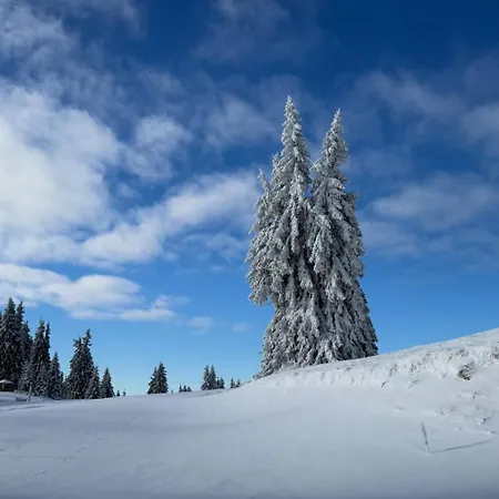 Aпартамент за гости Dream Grand Monastery-пампорово *
