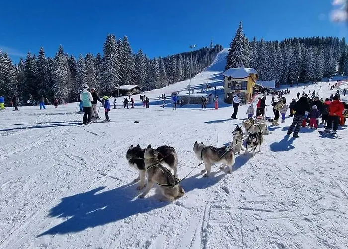 Aпартамент за гости Dream Grand Monastery-пампорово *