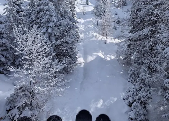 Apartment Aпартамент за гости Dream Grand Monastery-пампорово *