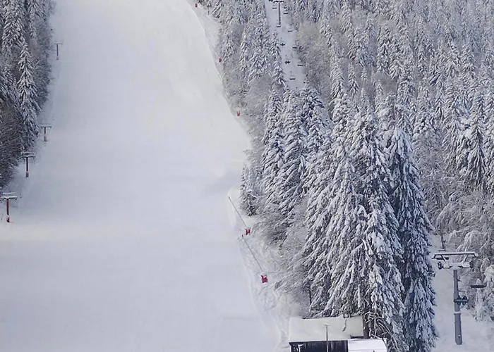 Aпартамент за гости Dream Grand Monastery-пампорово