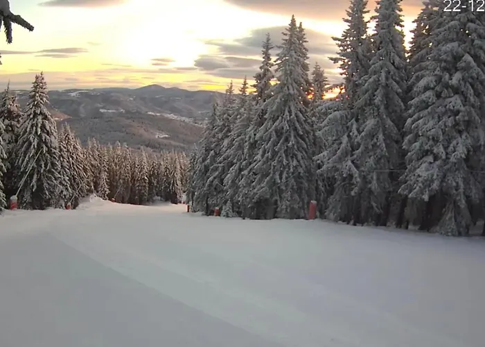 Aпартамент за гости Dream Grand Monastery-пампорово Apartment *