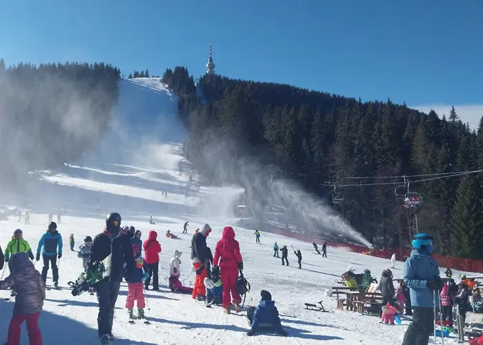 Apartment Aпартамент за гости Dream Grand Monastery-пампорово