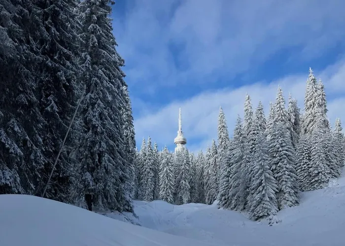Aпартамент за гости Dream Grand Monastery-пампорово Apartment