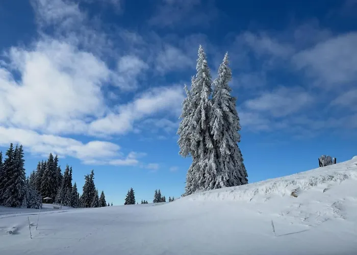 Aпартамент за гости Dream Grand Monastery-пампорово *
